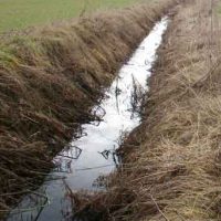 shallow ditch