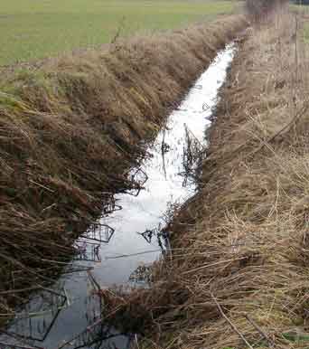 shallow ditch